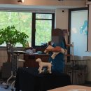 제일동물병원 이미지