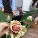 꽃그린