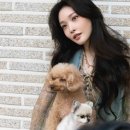 YY헬스센타 이미지