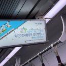 한강이 깨끗해져서 서울 지하철에 출몰중인 벌레.jpg 이미지