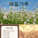 하늘찬도토리 이미지