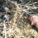 도자기(오전) 이미지