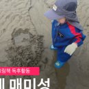 스테이외포 이미지