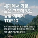 고원농장 이미지