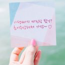 초이수상레저