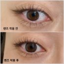 아이엠네추럴 | 하파크리스틴 아이엠 크리스틴 초코 렌즈 후기 | 맨눈에도 자연스러운 데일리 한달용