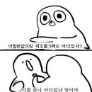 연세복사 이미지