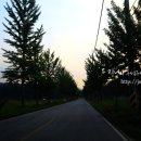 동부4리 이미지