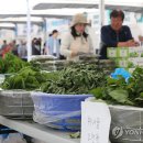 오롯이담다