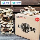 아빠의나무 야영장 | 태안국립공원 학암포야영장 카라반F02 명당 8번째 캠핑여행