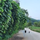 석지천 이미지