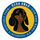 깜순이농장 이미지