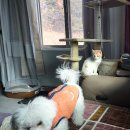 뭉치쌀롱 이미지