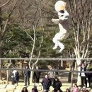조원관광진흥(주) 이미지