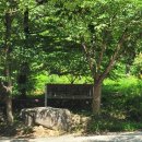엔학고레 | 공주 예쁜 감성 카페 추천 동학사 엔학고레 후기