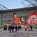 부룡체육관 이미지