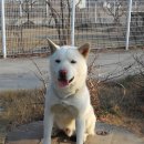 아부지농장 이미지