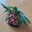 사랑나무의원 이미지