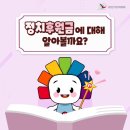 부산광역시 선거관리위원회 이미지