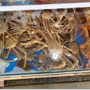 팔팔횟집 이미지