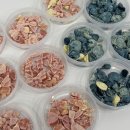 해피벌스댕댕 이미지