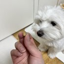 나우써치 이미지