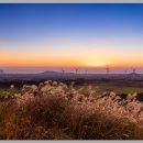 동거목장 이미지