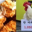 땅땅치킨 이미지