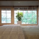 호수 정원 펜션 이미지