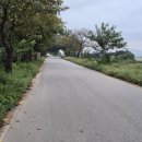 창일농장 이미지