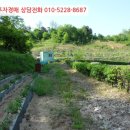 신월동029 이미지