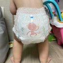 세진TM | 흡수력 탁월한 팬티 기저귀! 팸퍼스 업그레이드 베이비 드라이 추천(사이즈 및 사용 후기)