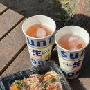 후쿠오카 벚꽃 명소 추천 | 2025 벚꽃 축제 후기 &amp; 마이즈루 공원 포장마차 꿀팁까지!