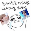 냥스타