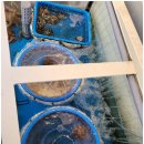 목포항간장게장아구찜 이미지