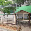 장형농장 이미지