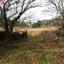 서호동-22 이미지