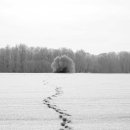 잘나가는사람들 이미지