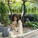 제니의 집 이미지