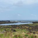 토산2리마을회관 | 제주 올레길 4코스 - 표선에서 남원까지, 바다와 해녀의 길을 걷다