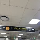 남방아 | [중국 상하이] 중국남방항공 탑승후기 터미널 모바일체크인 입국신고서 작성방법