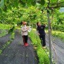 재숙농장 이미지