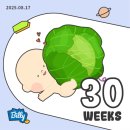 이오한의원 | [30주차] 이제 임신 후기 진입. 만삭은 무거워.