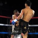 팀 드래곤 이미지