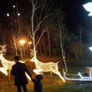 별빛달빛펜션 네이버블로그