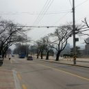 향교손자장 이미지