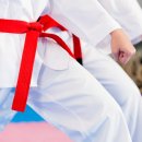 용인대창룡태권도 이미지