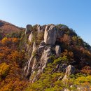 단풍 이미지