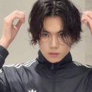 젤라헤어 이미지