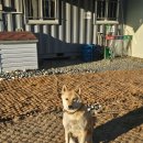 세븐일레븐 안성석정중앙점 | 삼척 맹방해수욕장 근처 맛집 해장으로 좋았던 양평해장국 삼척맹방해수욕장점